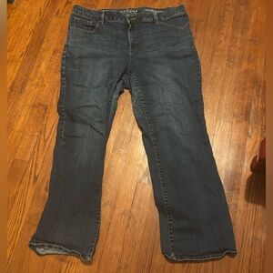 Sonoma Jeans Women’s 16